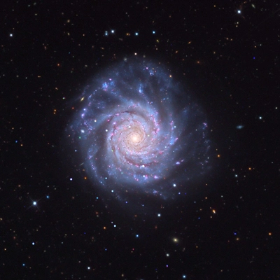 NGC 3938 - Galaxy gallery: Sixteen galaxies including spirals, ellipticals, and irregulars.