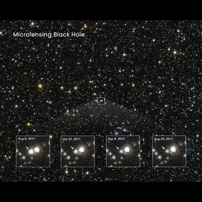 Microlensing Black Hole