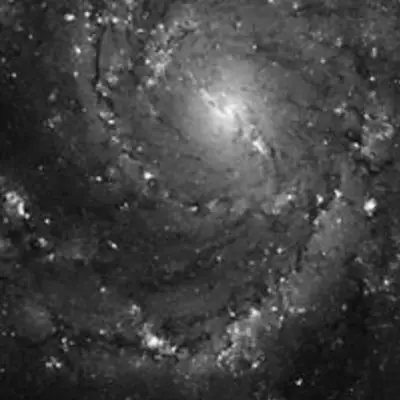 Hubble Space Telescope Imaging of Hot Gas and Star Birth in M101