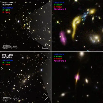 Compass Image for REQUIEM Galaxies