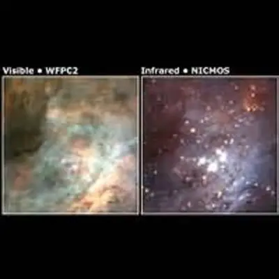 Infrared Image Shows Brown Dwarfs and Infant Stars in Orion Nebula's Trapezium Cluster