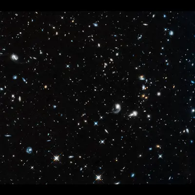 DSF2237b