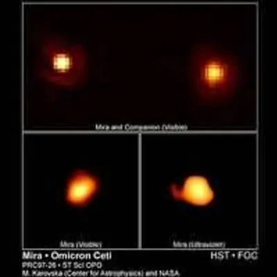 The Mira Binary System: A Red Giant Star and Its Hot Companion