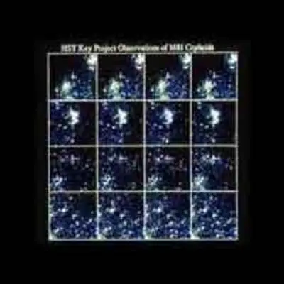 HST Key Project Observation of M81 Cepheids