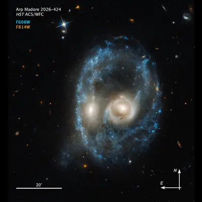 Compass Image of AM 2026-424