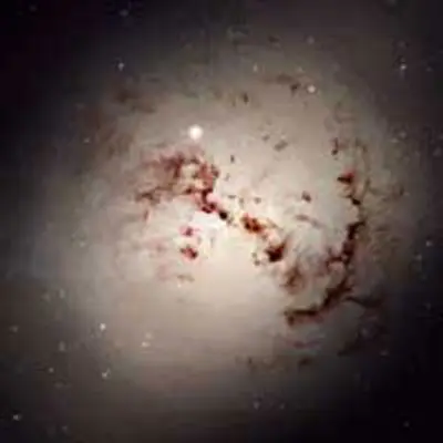 The Dusty Galaxy NGC 1316