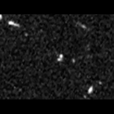 HST WFC3 F160W Image with SN
