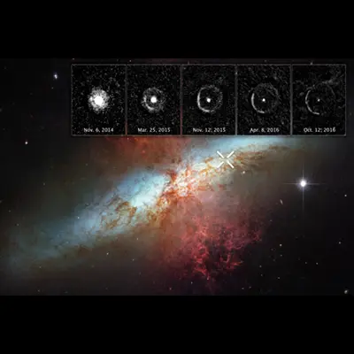 Light Echo around SN 2014J in M82