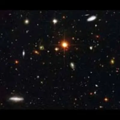 A Zoo of Galaxies
