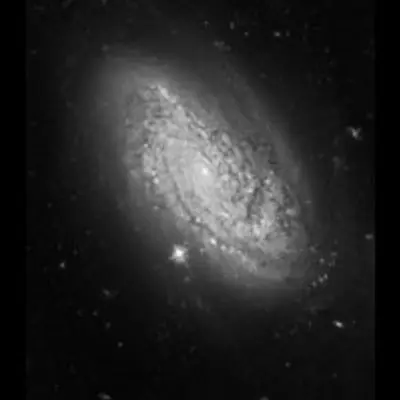 HST ACS/WFC Image of NGC 3021