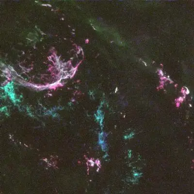 Oxygen-Rich Supernova Remnant in the Large Magellanic Cloud