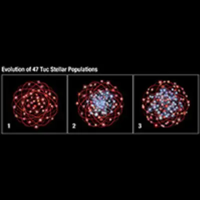 Evolution of 47 Tuc Stellar Populations