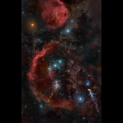 HOPS Sources in Orion