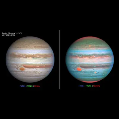 Multiwavelength OPAL Jupiter