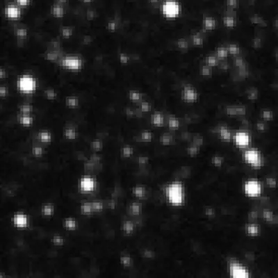 Ground-based MACHO-LMC-5 1994