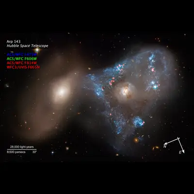 Arp 143 Compass Image