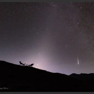 A Zodiacal Night