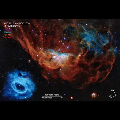 Compass Image for Cosmic Reef