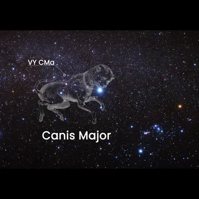 Location of VY CMa on the Sky