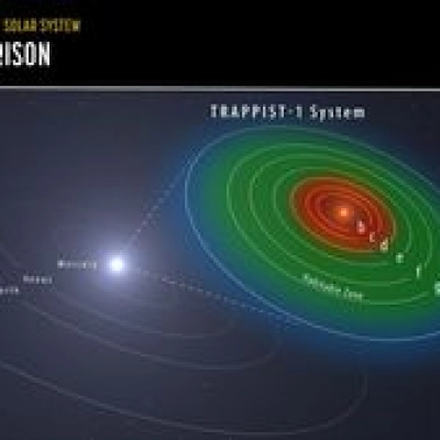 Trappist-1 System Orbit Comparison