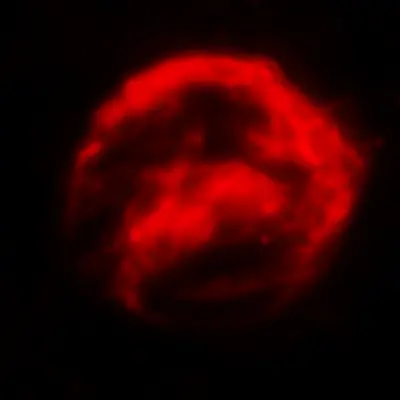 Spitzer Space Telescope Infrared Data of Kepler's Supernova Remnant