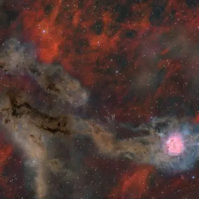 Cocoon Nebula Wide Field