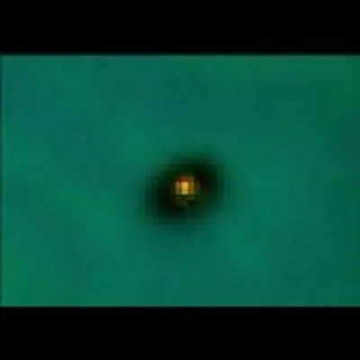 A Protoplanetary Disk in the Orion Nebula