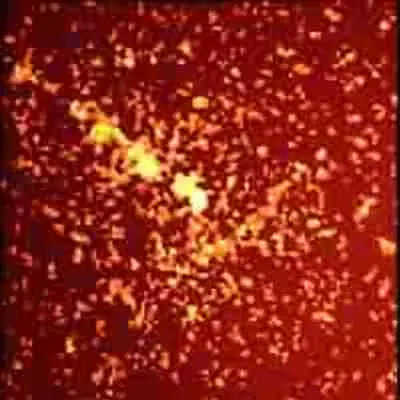 Einstein X-ray 1979 deconvolved