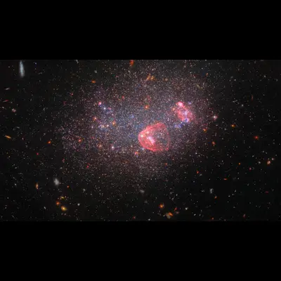 Dwarf Irregular Galaxy UGC 8091