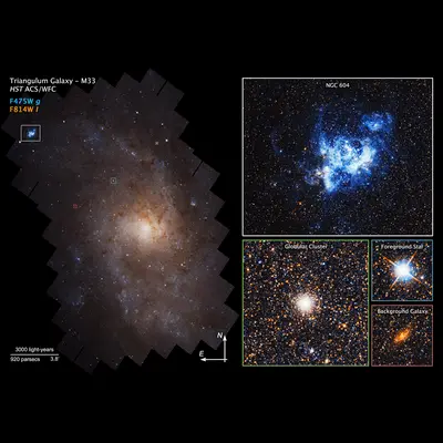 Close-up Views of Triangulum Galaxy (M33)