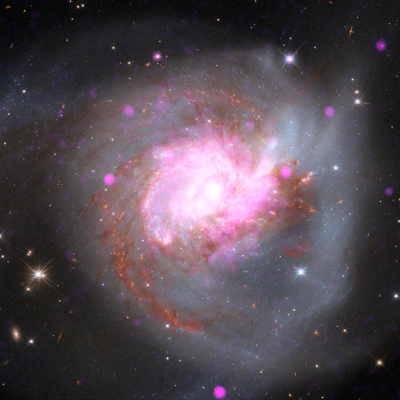 NGC 3256 - Galaxy gallery: Sixteen galaxies including spirals, ellipticals, and irregulars.