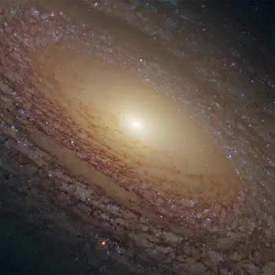 Spiral Galaxy NGC 2841