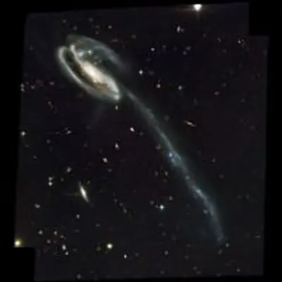 Rich Background of Galaxies Behind the Tadpole Galaxy