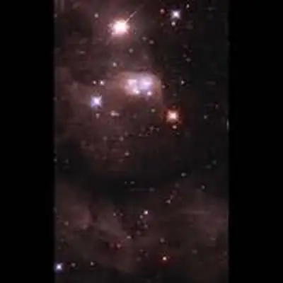 'Double Bubble' of Gas and Dust in the Large Magellanic Cloud