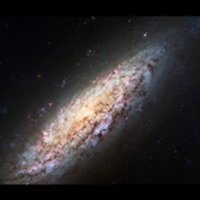 Spiral Galaxy NGC 6503