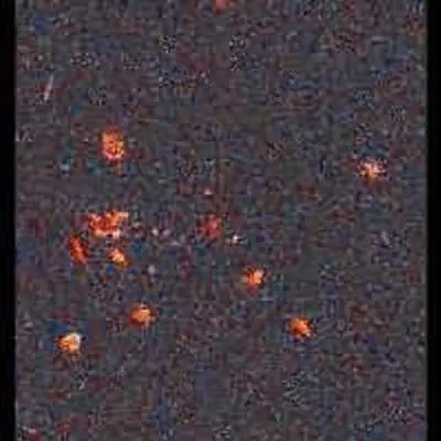 HST035528+09435