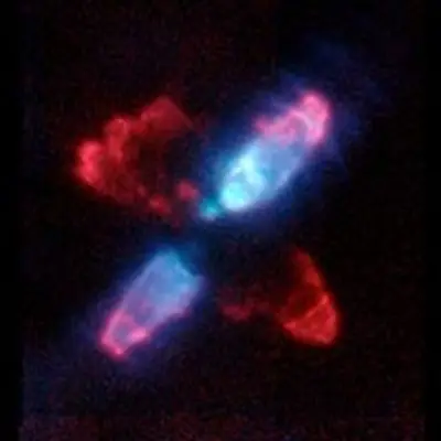 The Egg Nebula (CRL 2688) in Infrared Light