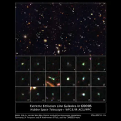 Tiny Galaxies Brimming with Star Birth in the GOODS Field