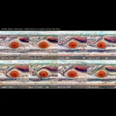 Close-up of Jupiter's Great Red Spot (8-Panel)