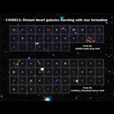 CANDELS Dwarf Galaxies
