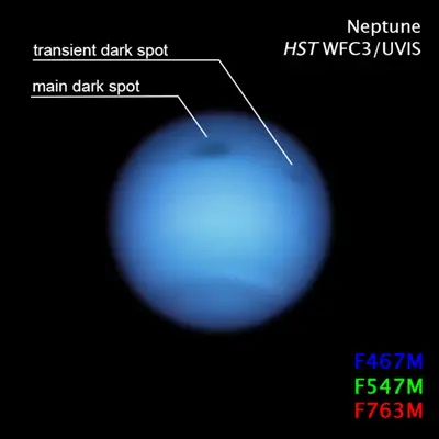 Neptune Dark Spot Compass