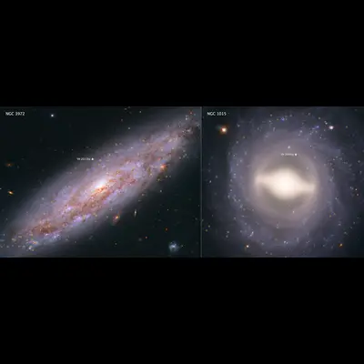 NGC 3972 and NGC 1015
