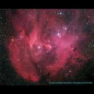 IC 2944