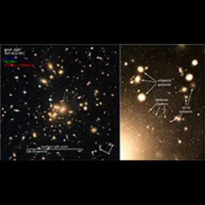 Scale and Compass for Galaxy Cluster Abell 1689