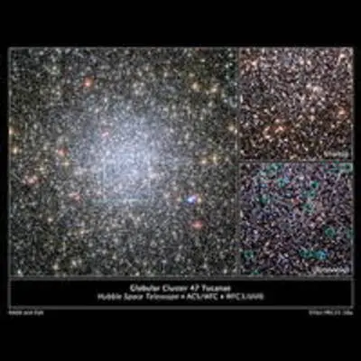 White Dwarfs Migrating from Globular Cluster 47 Tucanae's Core