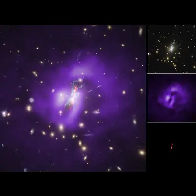 Phoenix Cluster Individual Wavelengths