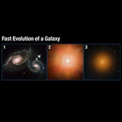 Fast Evolution of a Galaxy