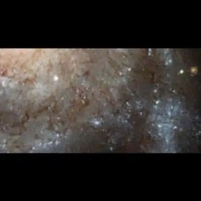 A Detailed Look at Spiral Galaxy M101