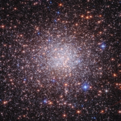 Bulge Fossil Fragment Terzan 5 (Webb and Hubble Image)