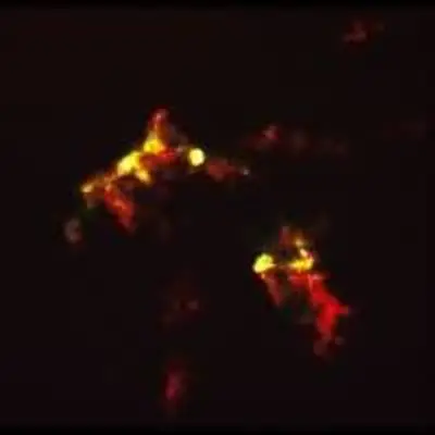 HST Reveals Growth Processes of Young Star, Herbig-Haro Object #2